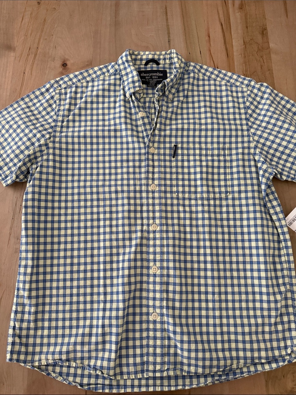 Abercrombie & Fitch Blue and Cream Gingham Short-Sleeve Button-Down